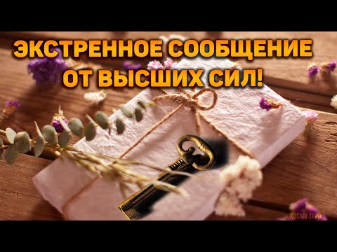Видео: Экстренное сообщение от Высших Сил! Что предначертано тебе судьбой?