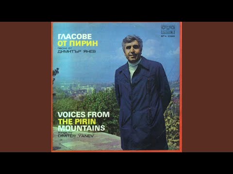 Видео: Карамфил