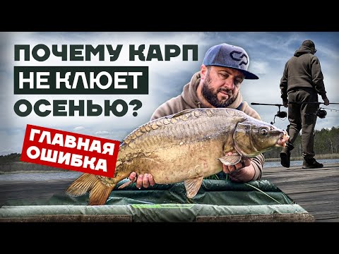 Видео: Все СЕКРЕТЫ и ОШИБКИ ловли КАРПА осенью! Основы КАРПФИШИНГА: погода, тактика, прикормка, монтажи...