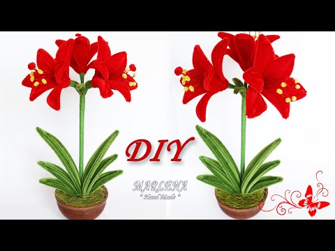 Видео: ✅ ЦВЕТЫ🌸 ГИППЕАСТРУМ из синельной проволоки 🌸 Pipe Cleaners Flowers DIY