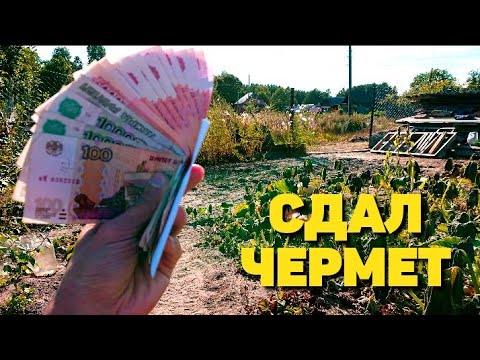Видео: Собирал металлолом 4 месяца и сдал. Сколько заработал?