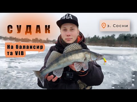 Видео: Судак на Балансири та Віби. Затока Сосни. Відкриття сезону