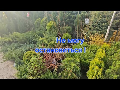 Видео: Базар Алматы 1 и Рынок Турксиб!Я в раю🌱🌲🌳🌿🌼❗️