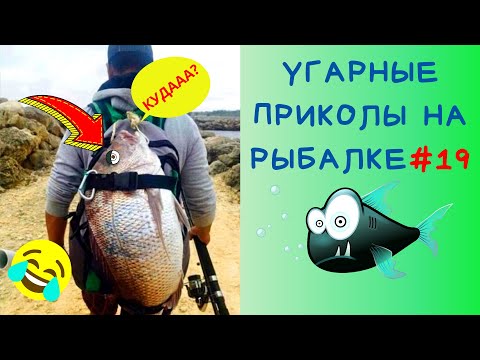Видео: Приколы на Рыбалке 2020 до слез / Неудачи на Рыбалке / Новые Приколы на Рыбалке [2020] /Рыбалка 2020
