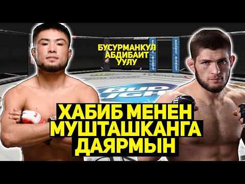 Видео: Бусурманкул: "UFCге барсам Джозе Альдо менен мушташканга даярмын!"
