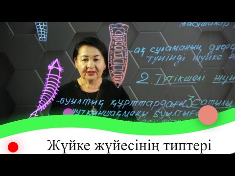 Видео: Жүйке жүйесінің типтері. 7 сынып.