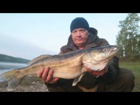 Видео: ТРОФЕЙ НА РЕЗИНКУ В ПОСЛЕДНИЙ ДЕНЬ ВЕСНЫ! р. ТОМЬ 2023г.