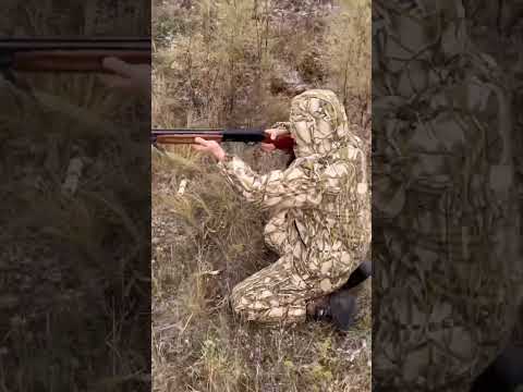 Видео: СТРЕЛОК ВОРОШИЛОВСКИЙ. #охота #охотанагуся #дикиегуси #12калибр
