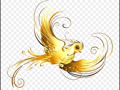 Видео: Обновлён Радостная мудрость Йонге Мингьюр Ринпоче