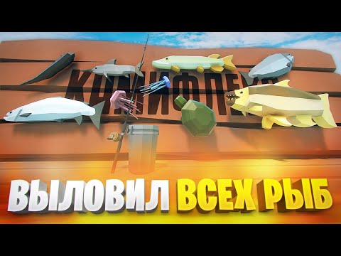 Видео: ДИАЛОГИ О РЫБАЛКЕ С ДЯДЮШКОЙ КАМИФЛЕКСОМ, НО ЭТО ГОРЕ БОКС