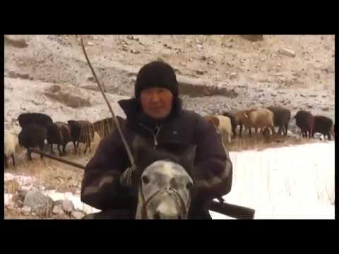 Видео: Кыштоого көчүү