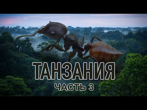 Видео: Экспедиция в Восточную Африку! ФИНАЛ