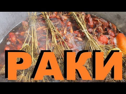 Видео: РАКИ В КАЗАНЕ НА КОСТРЕ. РЕЦЕПТ СЮФ. ОХОТА НА КУБАНИ