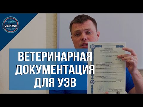 Видео: Ветеринарная документация для УЗВ