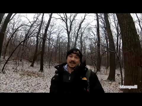 Видео: Охота на лису норная,с ягдтерьером.Использование  поводка  при вытаскивании зверя.