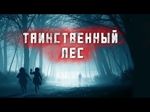 Видео: Страшные истории | Таинственный лес | Slasher | Истории на ночь