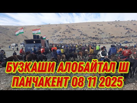 Видео: БУЗКАШИ АЛОБАЙТАЛ Ш ПАНЧАКЕНТ 08 11 2025