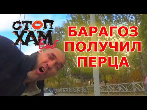 Видео: СТОПХАМЕКБ / БАРАГОЗ ПОЛУЧИЛ ПЕRЦА