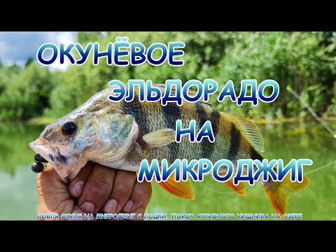 Видео: Микроджиг на озере с лодки. Попал на раздачу ОКУНЯ!!!