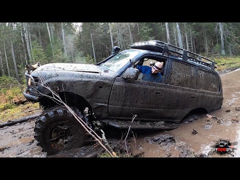 Видео: Нашли Беку и отличную грязь в лесу) Юлик тестирует jimny)