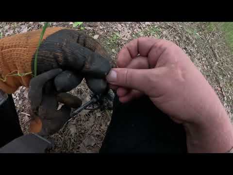 Видео: Рэмбо в стакане, или 40 лет спустя