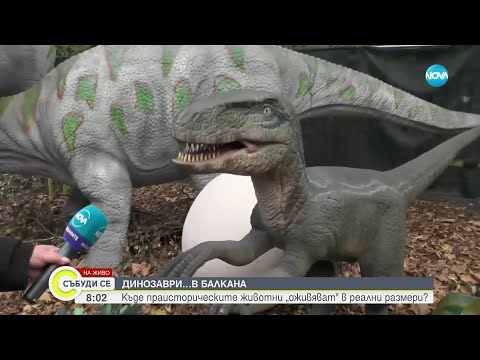 Видео: Динозаври в балкана: Къде праисторическите животни „оживяват" в реални размери? - Събуди се