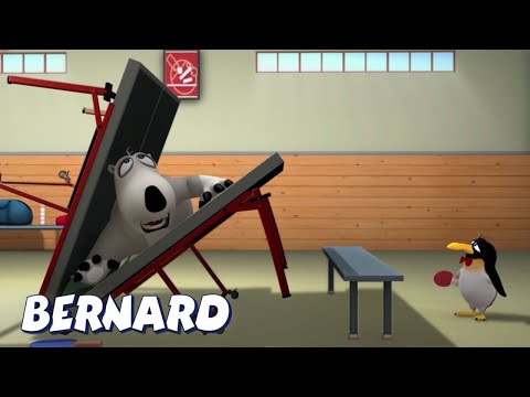 Видео: Медвежонок Бернард | Безумный пинг-понг и многое другое | Мультфильмы для детей | Полные эпизоды