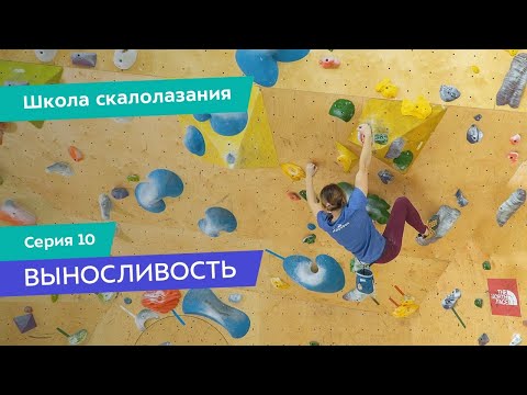 Видео: Тренировка выносливости в скалолазании