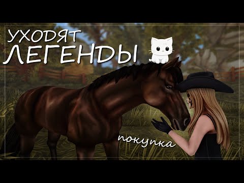 Видео: ИХ ВСЕ МЕНЬШЕ И МЕНЬШЕ...ПОКУПКА АНГЛОВ 2 ПОКОЛЕНИЯ / STAR STABLE ONLINE