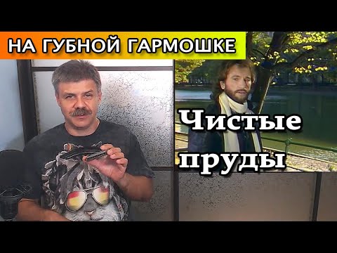 Видео: Чистые пруды на губной гармошке