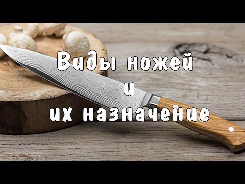 Видео: РЕКОМЕНДАЦИИ ПО ВЫБОРУ: как правильно выбрать кухонные НОЖИ, виды и их назначение
