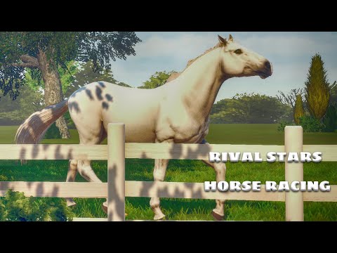 Видео: Родились новые жеребята в Rival Stars Horse Racing!