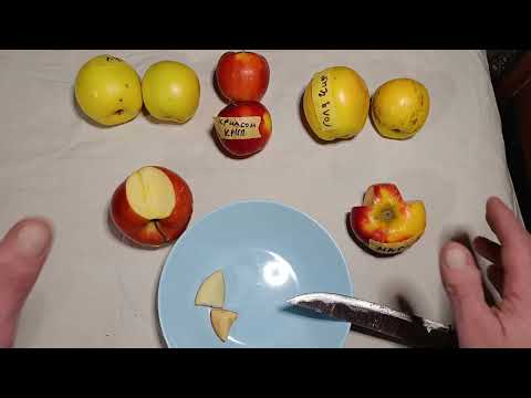 Видео: Яблука в середині січня.