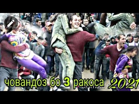 Видео: Аюбчони Мирзокарим бо 3 ракоса туя кафонд човандози