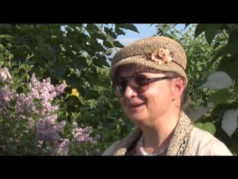 Видео: идеальный сад 07