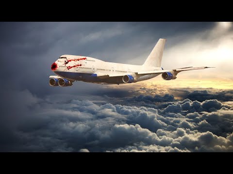 Видео: Самолет, приземлившийся с 92 скелетами на борту!