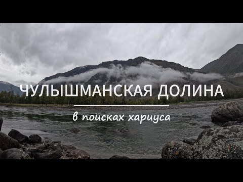Видео: Путешествие по Чулышманской Долине | Ищем хариуса | 3 ночи в палатке