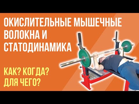 Видео: ЖИМ ЛЕЖА: ОКИСЛИТЕЛЬНЫЕ МЫШЕЧНЫЕ ВОЛОКНА (ОМВ) и СТАТОДИНАМИКА