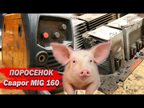 Видео: Поросенок Сварог MIG 160 (N219)