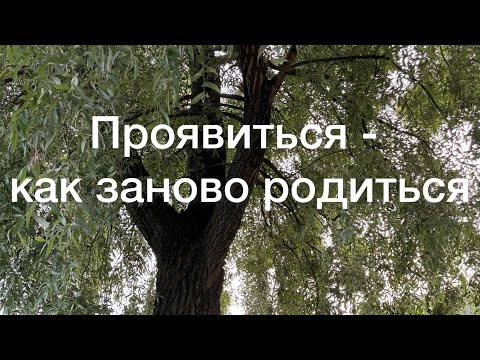Видео: Как почувствовать новое? Когда начинать проявляться в мир?