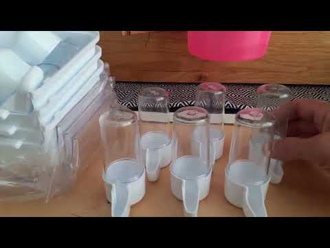 Видео: Содержание канареек.  И быть и уют