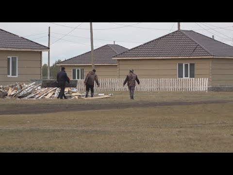 Видео: Елде көші-қон бағдарламасының шарттары өзгерді