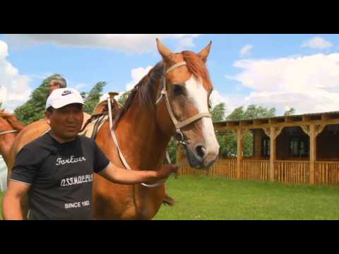 Видео: Еңбек елі. Атқа мінуді үйретуші Дулатхан Көшербаев