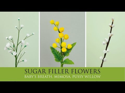 Видео: Как сделать гипсофилу, мимозу и вербу | Цветы с сахарным наполнителем, часть 3