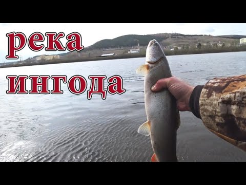 Видео: Рыбалка в забайкалье река Ингода в мае