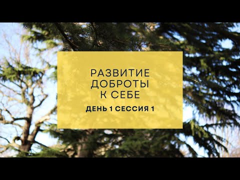 Видео: Ретрит по доброте к себе – 1–1