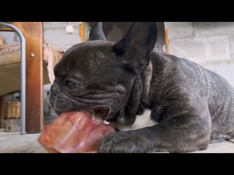 Видео: Самая большая страсть Олега - это уши и распаковка посылок | В видео есть все это