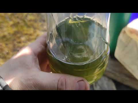 Видео: Замена тормозной жидкости Шкода октавия А7 12 апреля 2021 г