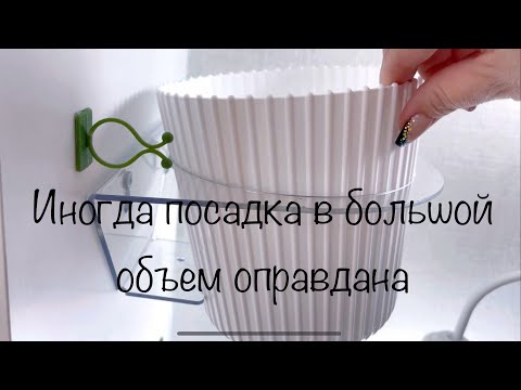 Видео: Иногда посадка в большой объем оправдана