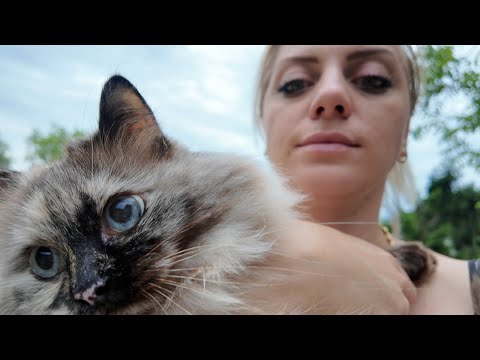Видео: Полная версия: Нужно больше заборчиков!!